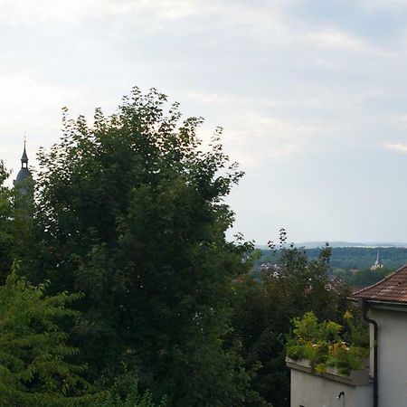 Neumann Apartment Marbach am Neckar Exterior photo