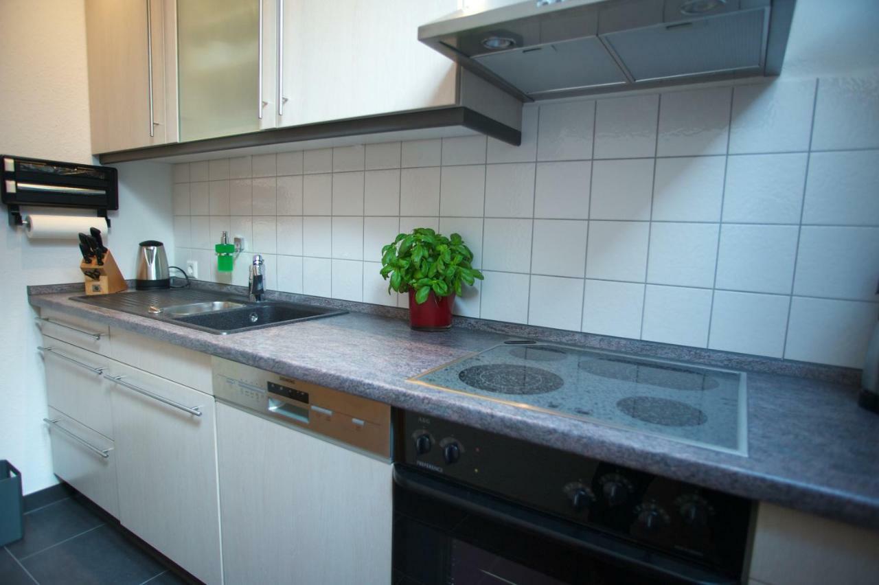 Neumann Apartment Marbach am Neckar Exterior photo